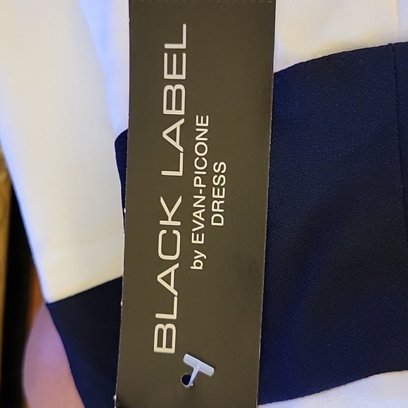 Evan-Picone Black Label Ivory Navy & Key Lime striped sleeveless dress 12 NEW… - Picture 6 of 7